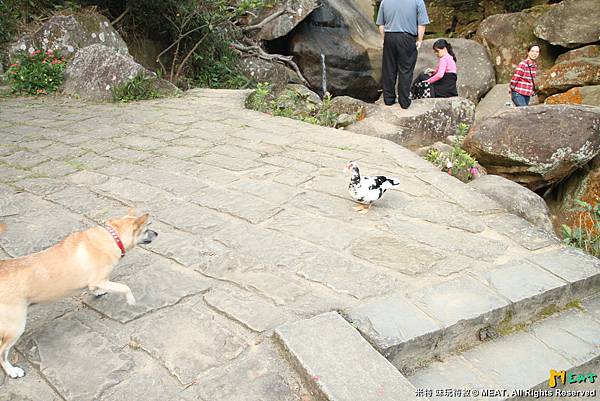 2013,02,14,4 【FM】大年初五｜內湖大溝溪親水公園親山步道圓覺瀑布 (能,玲,宇,柔,龍)164