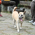 2013,02,14,4 【FM】大年初五｜內湖大溝溪親水公園親山步道圓覺瀑布 (能,玲,宇,柔,龍)187