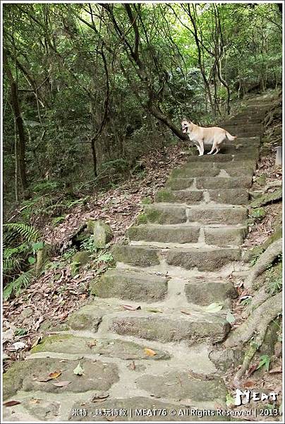 米特，味玩待敘部落格 © MEAT76｜2013邀約體驗【鯉魚山登山步道】台北內湖｜叮嚀小黑蚊防蚊液防蚊實測，踏青玩耍就是不給小黑蚊當跟屁蟲！008.jpg