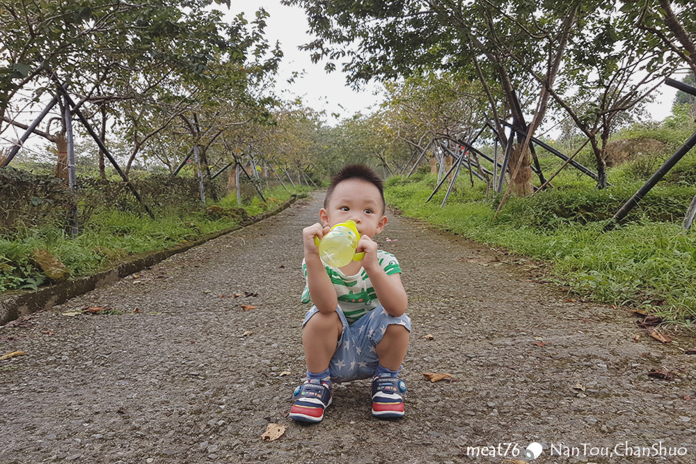 米特味玩待敘台灣美食親子部落客©MEAT76｜2017-07-20-4｜【南投旅遊住宿。鳳凰禪說：序】舒適的質感小木屋，山中霧屋浪漫晚餐讓人回味得厲害！ #自然景點 #忘憂森林 #鳳凰鳥園 #台灣避暑勝地 #賞櫻景點024.jpg