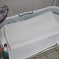 s027.JPG