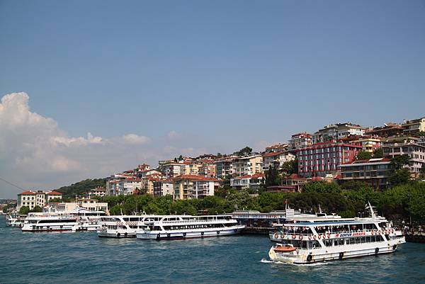 IMG_8360 IMG_8360