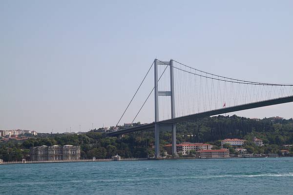 IMG_8379 IMG_8379