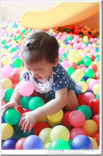 IMG_1927 IMG_1927