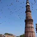 Qutb Minar (勝利塔)