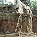 CBDA-Angkor-38.jpg