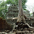 CBDA-Angkor-40.jpg