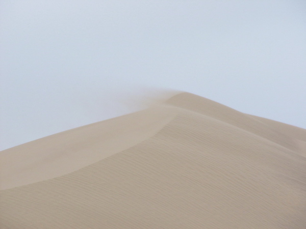 沙漠中的風飛沙