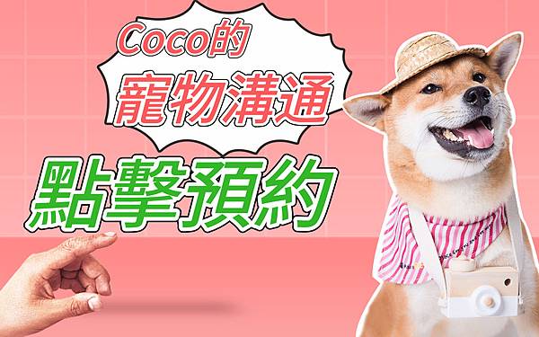 Coco寵物溝通、台南寵物溝通、寵物溝通推薦、寵物溝通案例、寵物溝通效果、寵物溝通 寵物溝通預約、台南寵物溝通師、寵物溝通師、寵物讀心、 Coco寵物溝通、台南寵物溝通、寵物溝通推薦、寵物溝通案例、寵物溝通效果、寵物溝通 寵物溝通預約、台南寵物溝通師、寵物溝通師、寵物讀心、