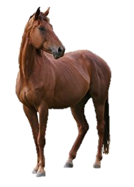 心理測驗 立方體的秘密 立方體的秘密解答 心理測驗2020 心理測驗個性 心理測驗愛情 心理測驗 立方體的秘密 立方體的秘密解答 心理測驗2020 心理測驗個性 心理測驗愛情