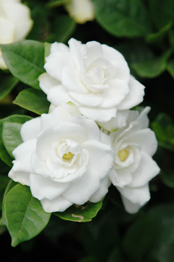 心理測驗 立方體的秘密 立方體的秘密解答 心理測驗2020 心理測驗個性 心理測驗愛情 心理測驗 立方體的秘密 立方體的秘密解答 心理測驗2020 心理測驗個性 心理測驗愛情