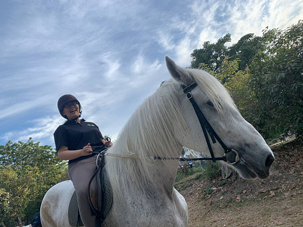 馬 台南騎馬 台南學騎馬 台南市立馬場 新手學騎馬