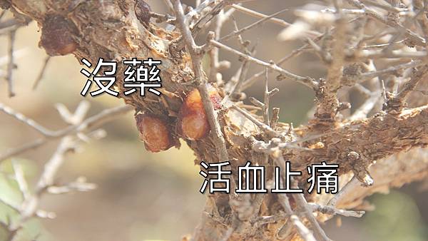  血虛體質、氣虛體質、痰濕體質、濕熱體質、精油比例、精油功效、中醫精油、精油推薦、精油按摩、中醫芳療、中醫芳療百科、悠樂芳精油、高品質精油、精油密碼、精油調配、陽虛體質、精油效果、精油配方、怎麼用精油、使用精油、中醫8大偏性體質