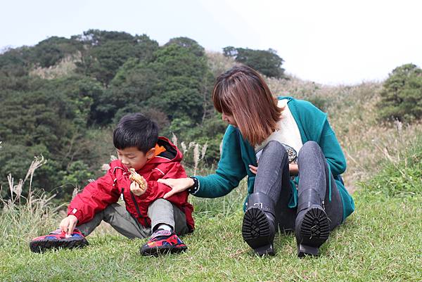 陽明山一日遊  擎天崗 芒花盛開 陽明山一片金黃花海  秋芒之旅