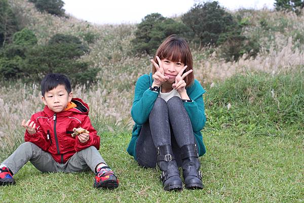 陽明山一日遊  擎天崗 芒花盛開 陽明山一片金黃花海  秋芒之旅