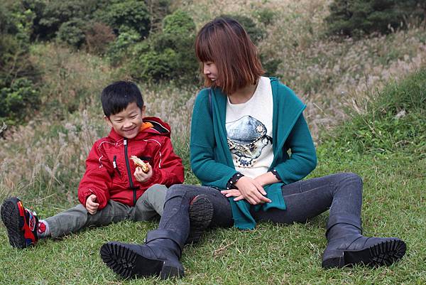 陽明山一日遊  擎天崗 芒花盛開 陽明山一片金黃花海  秋芒之旅