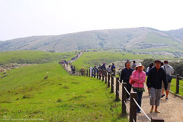 陽明山一日遊  擎天崗 芒花盛開 陽明山一片金黃花海  秋芒之旅陽明山一日遊  擎天崗 芒花盛開 陽明山一片金黃花海  秋芒之旅陽明山一日遊  擎天崗 芒花盛開 陽明山一片金黃花海  秋芒之旅陽明山一日遊  擎天崗 芒花盛開 陽明山一片金黃花海  秋芒之旅陽明山一日遊  擎天崗 芒花盛開 陽明山一片金黃花海  秋芒之旅陽明山一日遊  擎天崗 芒花盛開 陽明山一片金黃花海  秋芒之旅陽明山一日遊  擎天崗 芒花盛開 陽明山一片金黃花海  秋芒之旅陽明山一日遊  擎天崗 芒花盛開 陽明山一片金黃花海  秋芒之旅陽明山一日遊  擎天崗 芒花盛開 陽明山一片金黃花海  秋芒之旅陽明山一日遊  擎天崗 芒花盛開 陽明山一片金黃花海  秋芒之旅陽明山一日遊  擎天崗 芒花盛開 陽明山一片金黃花海  秋芒之旅陽明山一日遊  擎天崗 芒花盛開 陽明山一片金黃花海  秋芒之旅陽明山一日遊  擎天崗 芒花盛開 陽明山一片金黃花海  秋芒之旅陽明山一日遊  擎天崗 芒花盛開 陽明山一片金黃花海  秋芒之旅陽明山一日遊  擎天崗 芒花盛開 陽明山一片金黃花海  秋芒之旅陽明山一日遊  擎天崗 芒花盛開 陽明山一片金黃花海  秋芒之旅