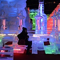 冰雪世界  台北冰雪世界 2014年冰雪世界  南港展覽館  看展覽