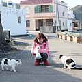 宜蘭馬崗  貓村 貓鄉 拍貓咪  台北到馬岡一日遊  