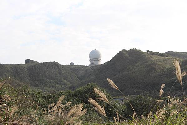 宜蘭馬崗  貓村 貓鄉 拍貓咪  台北到馬岡一日遊  