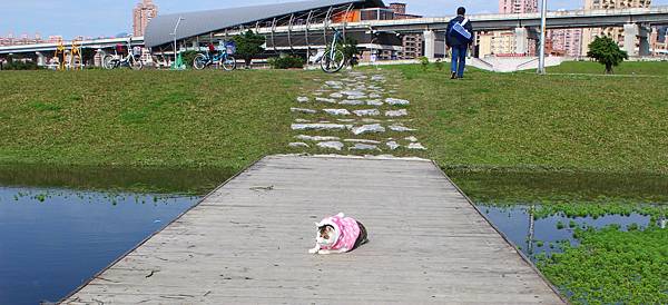 幸福水漾公園  新北市三重旅遊景點  大台北都會公園