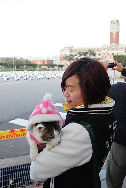 熊貓快閃 阿貴看熊貓  1600隻紙貓熊快閃凱達格蘭大道  1600隻紙熊貓即將於2/28台灣台北展出