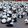 熊貓快閃 阿貴看熊貓  1600隻紙貓熊快閃凱達格蘭大道  1600隻紙熊貓即將於2/28台灣台北展出