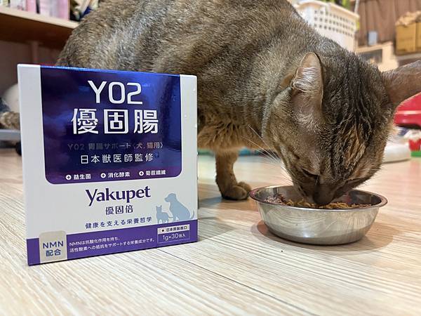 【Yakupet 優固倍】回購愛牌！日本獸醫監製腸胃保健Ya