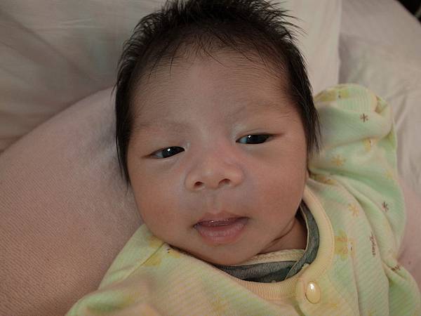 眉毛好像有比較多了