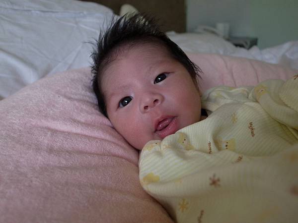 眼睛有越來越像我娘家人的趨勢