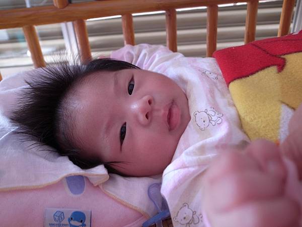 玩得時候手腳都好忙