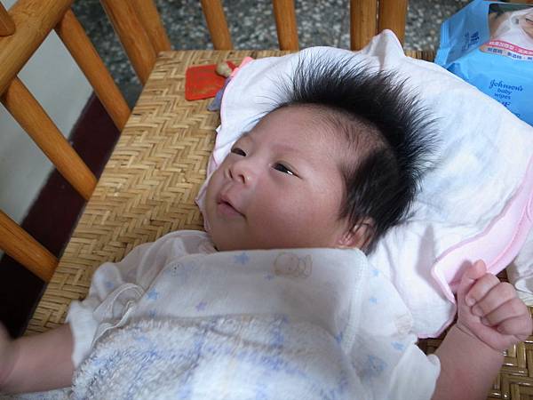 一直要跟人玩耍