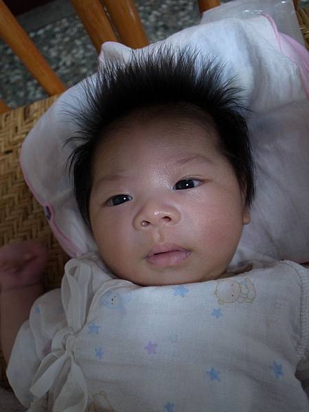 不知道在看什麼