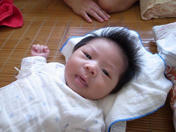 中午抱去冷氣房睡午覺