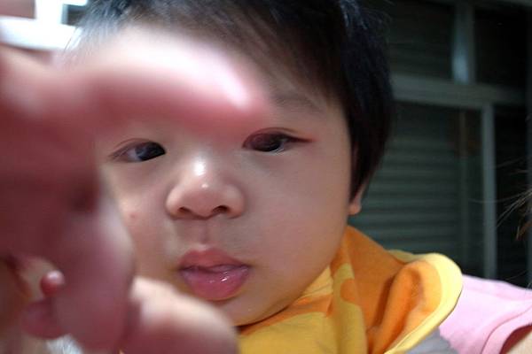 現在看到什麼都想抓