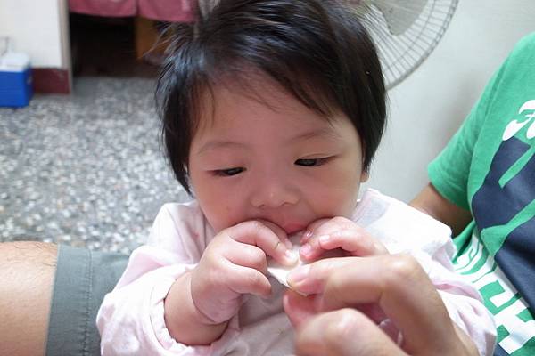 他已經會咬的動作