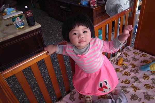 1020310-r004_001_resize