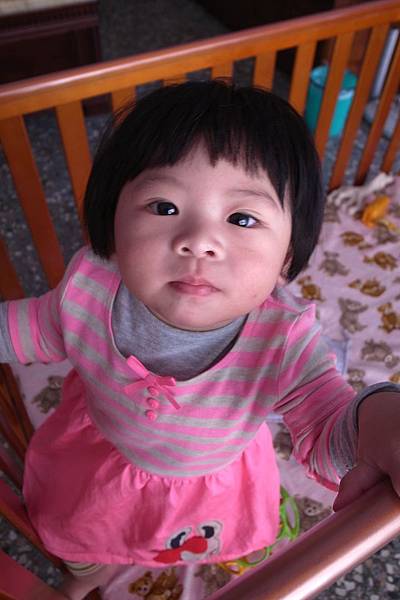 1020310-r010_001_resize