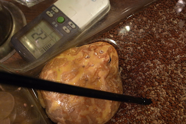 990522-r016_resize.JPG 990522-r016_resize.JPG