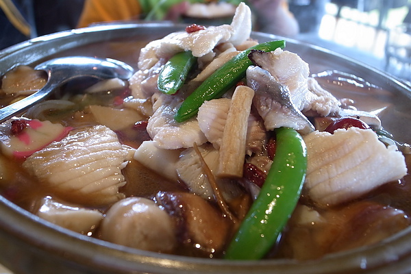 鱘龍魚軟嫩好吃 鱘龍魚軟嫩好吃