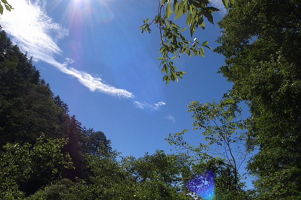 因為下山腳程比較快,也比較輕鬆 因為下山腳程比較快,也比較輕鬆