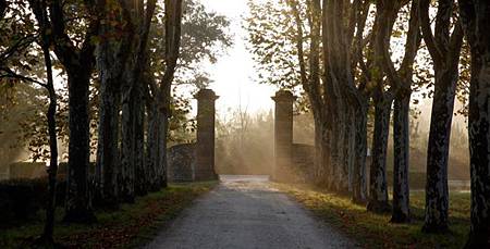 26086-650x330-autre-chateau-guiraud-sauternes