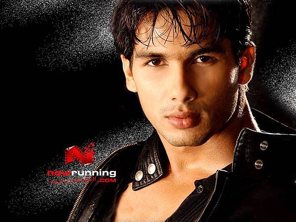 ShahidKapoor_4_800x600.jpg