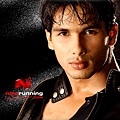 ShahidKapoor_4_800x600.jpg