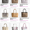 Coach Tote 3.PNG