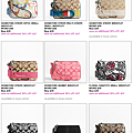 Wristlet 1.PNG