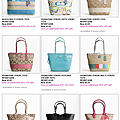 Coach Tote 1.PNG