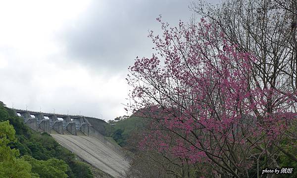 石門水庫(6)