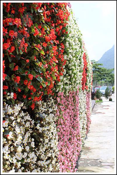 MeetinTaiwan - Tai Yi Ecological Leisure Farm 台一生態休閒農場002.jpg