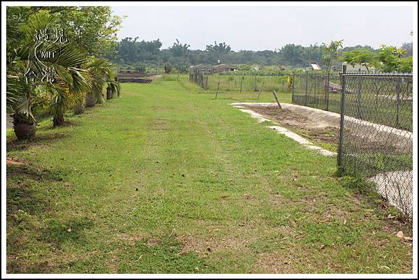 MeetinTaiwan - Duck Farm 台南鴨莊31.jpg